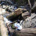 whataonedeefulworld-blog avatar