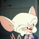 whatarewedoingtomorrownight avatar