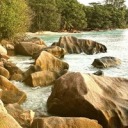 whatdoeslindsaylohandoallday avatar