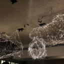 whatdoyouwanttobecalledb avatar