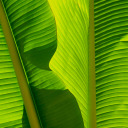 whatelse2dohere avatar