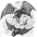 whateveraestheticis avatar