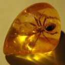 whateverkeepsyourheartlight avatar