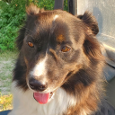 whateversailsmyship avatar