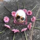 whateverworks185 avatar