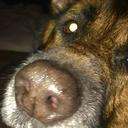 whatificantfly avatar