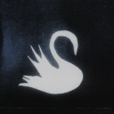 whatiscamping avatar