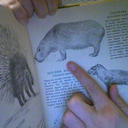 whatishighfunctioning avatar