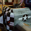 whatislifeevendoing avatar