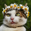 whatisnotclaimed avatar