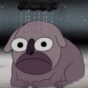 whatisthismath avatar