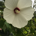 whatreallyevenismotivation avatar