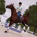 whats-going-on-ire-then avatar