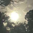 whats-the-word-again avatar