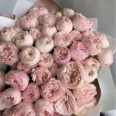 whatsdoneinthedarkness avatar