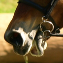 whatshouldwecalleventing avatar