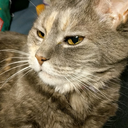 whatsthestorytori avatar