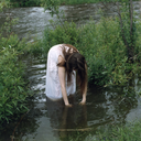 whatsthinking avatar