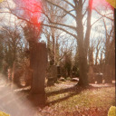 whattheheckdoiknow avatar