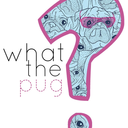 whatthepugami-blog avatar