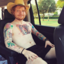 whatthesheeran avatar