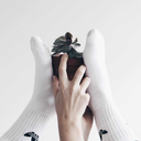 whatturnsmeon avatar