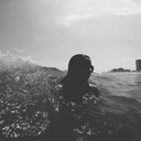 whatudontkn0w avatar