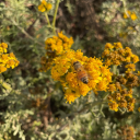 whatusernamedoyoumean avatar