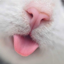 whatweas-blog avatar