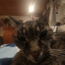 whatyoudoing127 avatar