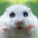 when-hamsters-laugh avatar