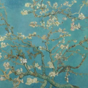 whenchickensfly avatar