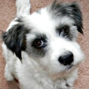 whendayisdone avatar