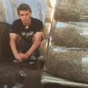 wheneverforever avatar