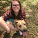 whengracecollides avatar