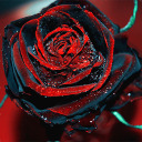 whenits3amandimlonely avatar