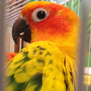 whenlifegivesyouconures avatar