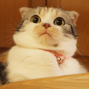 whenmenhavecreativecontrol avatar