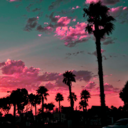 whensummersgone avatar