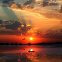 whenthesuncomeup avatar