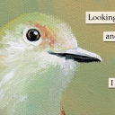 whenworldscolide1209 avatar