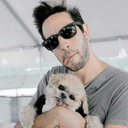 whenyoufangirltoohard avatar