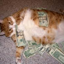 where-the-cats-at avatar