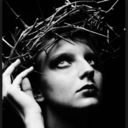 wherearemyfans avatar