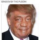 wherearethetacos avatar