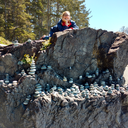 wheredmyvangogh avatar