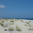 whereisarya-blog avatar