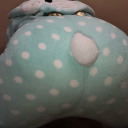 wheres-tibbers avatar