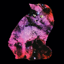 wheres-your-cat-shirt-blog avatar