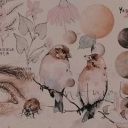 wheresmybuckyhoes avatar